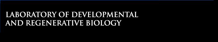 Laboratory of Developmental and Regenerative Biology